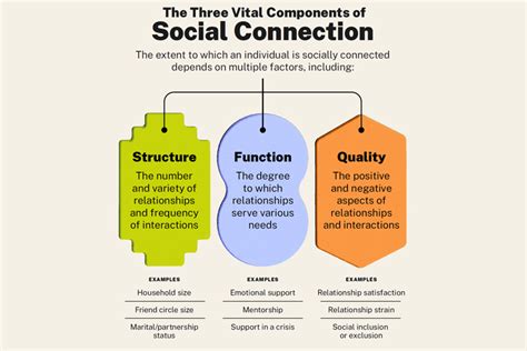 Empowerment and Connection: Exploring the Impact of Social .